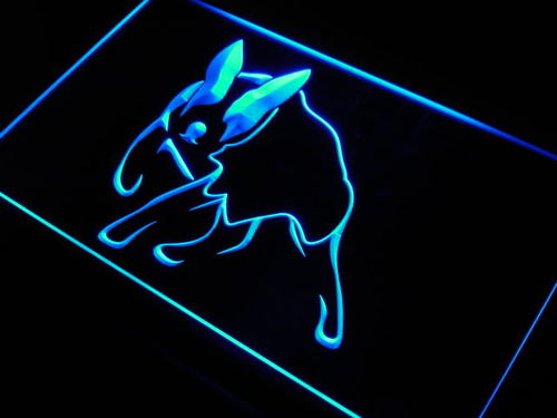 Lancashire Heeler Dog Pet Shop Neon Light Sign